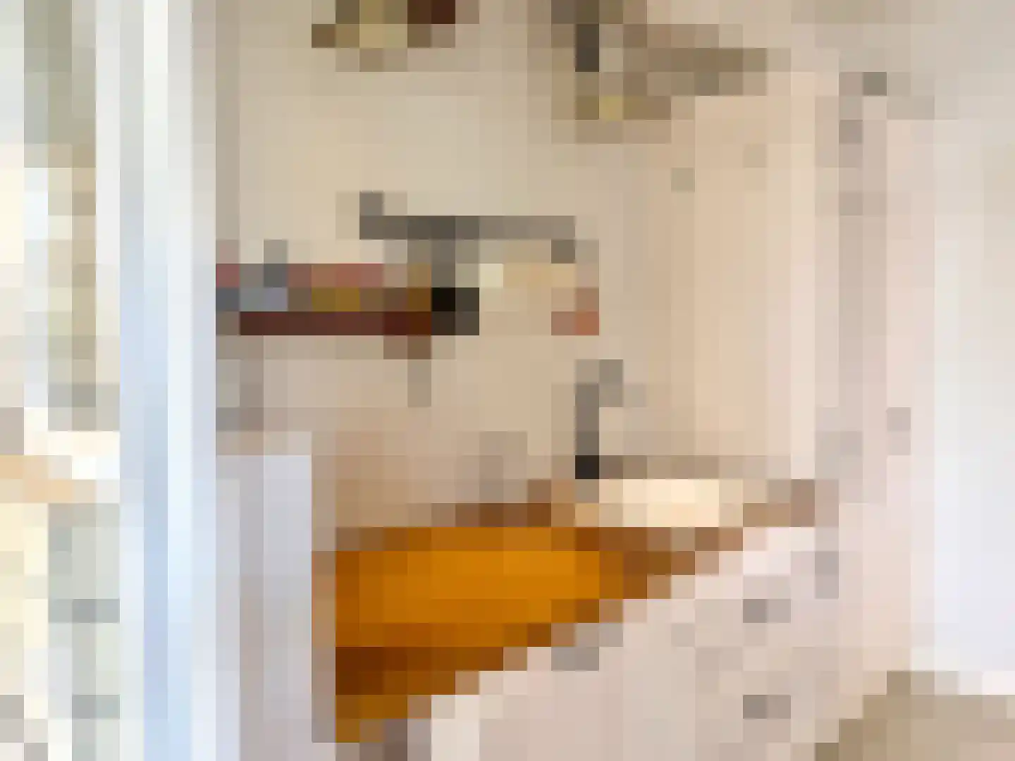 Adriaan van Ostadestraat 34 Woerden thumbnail 10