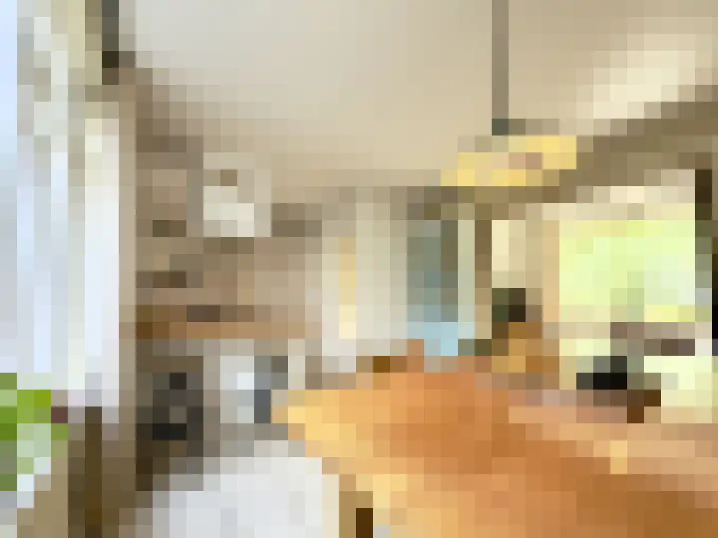 Adriaan van Ostadestraat 34 Woerden thumbnail 11