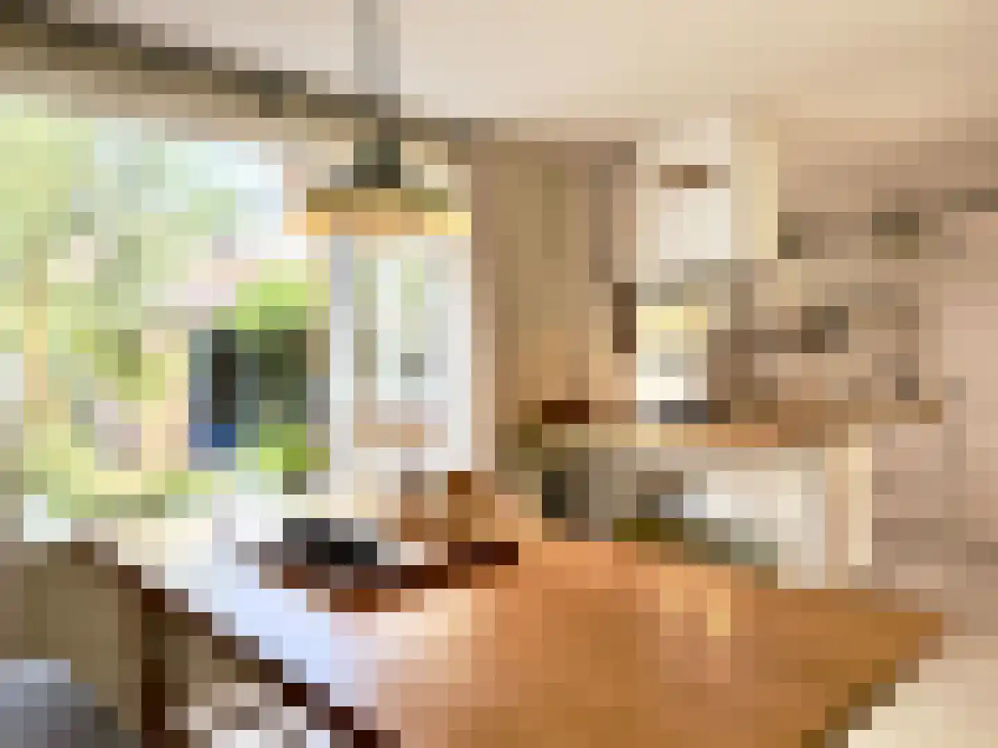 Adriaan van Ostadestraat 34 Woerden thumbnail 12