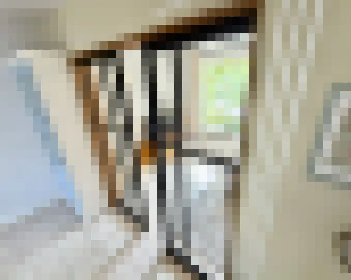 Adriaan van Ostadestraat 34 Woerden thumbnail 13