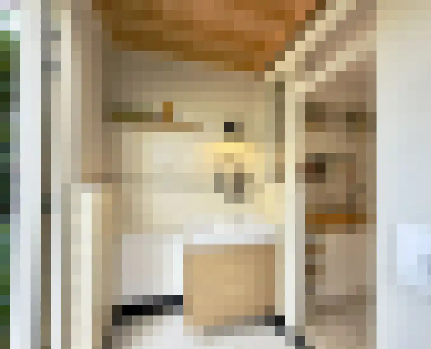 Adriaan van Ostadestraat 34 Woerden thumbnail 17