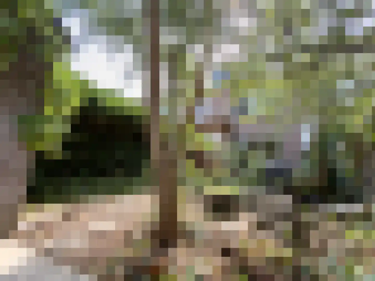 Adriaan van Ostadestraat 34 Woerden thumbnail 20
