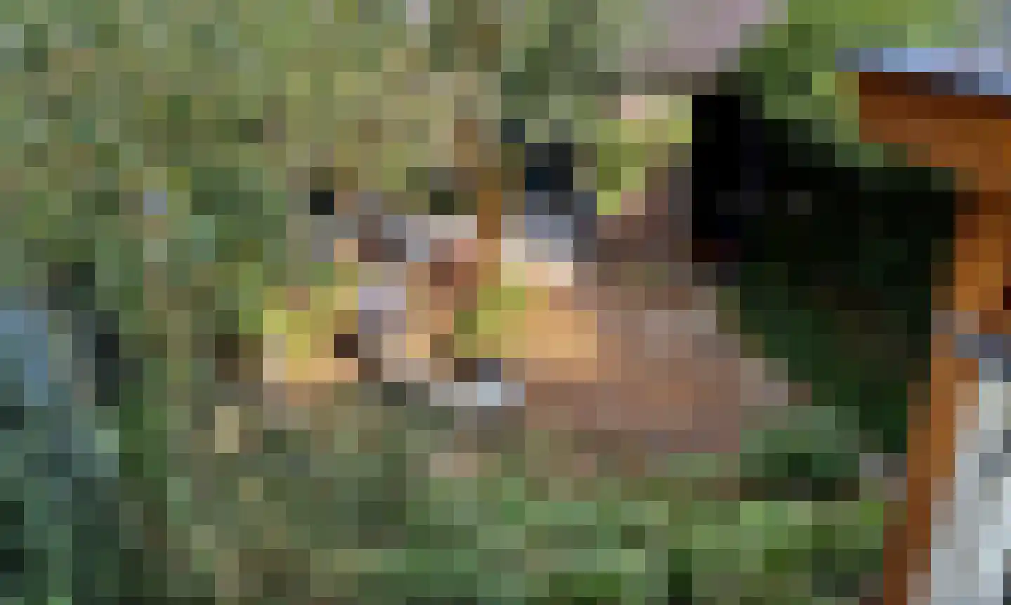 Adriaan van Ostadestraat 34 Woerden thumbnail 22