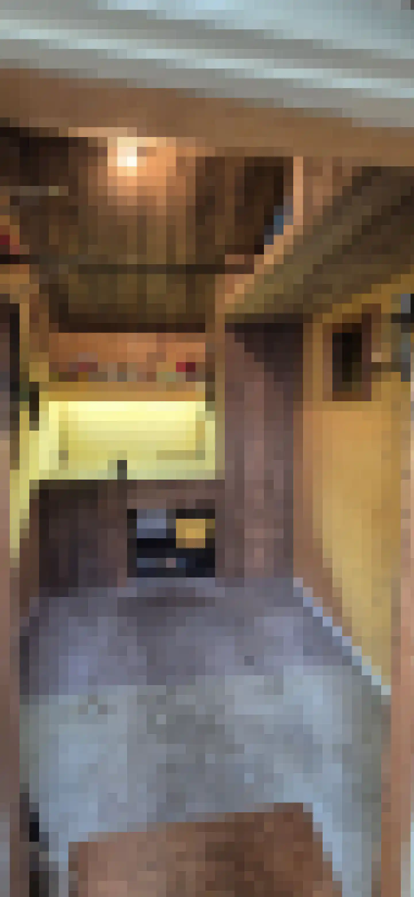 Adriaan van Ostadestraat 34 Woerden thumbnail 23