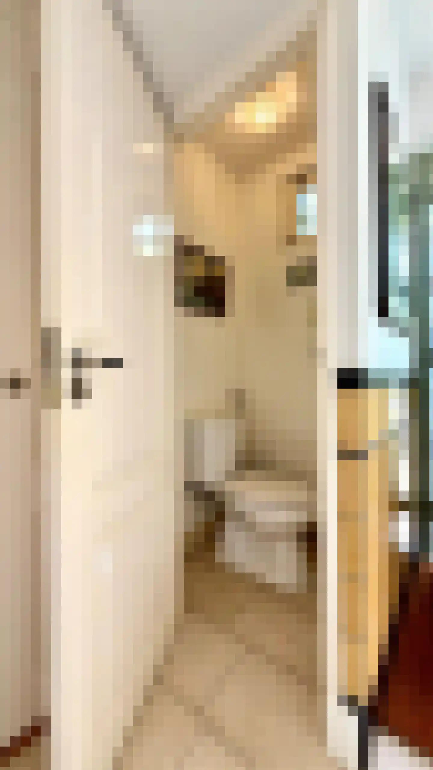 Adriaan van Ostadestraat 34 Woerden thumbnail 5