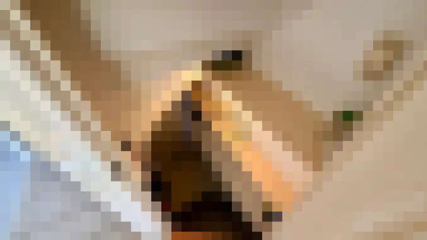 Adriaan van Ostadestraat 34 Woerden thumbnail 6