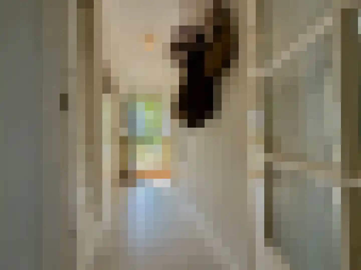 Adriaan van Ostadestraat 34 Woerden thumbnail 7