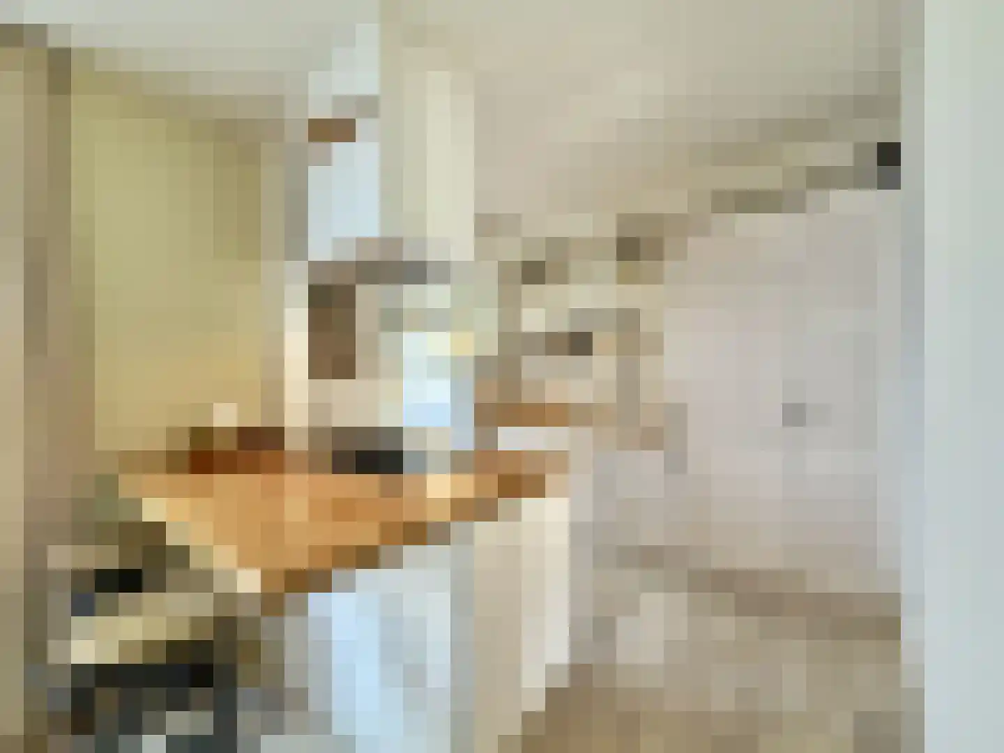 Adriaan van Ostadestraat 34 Woerden thumbnail 8