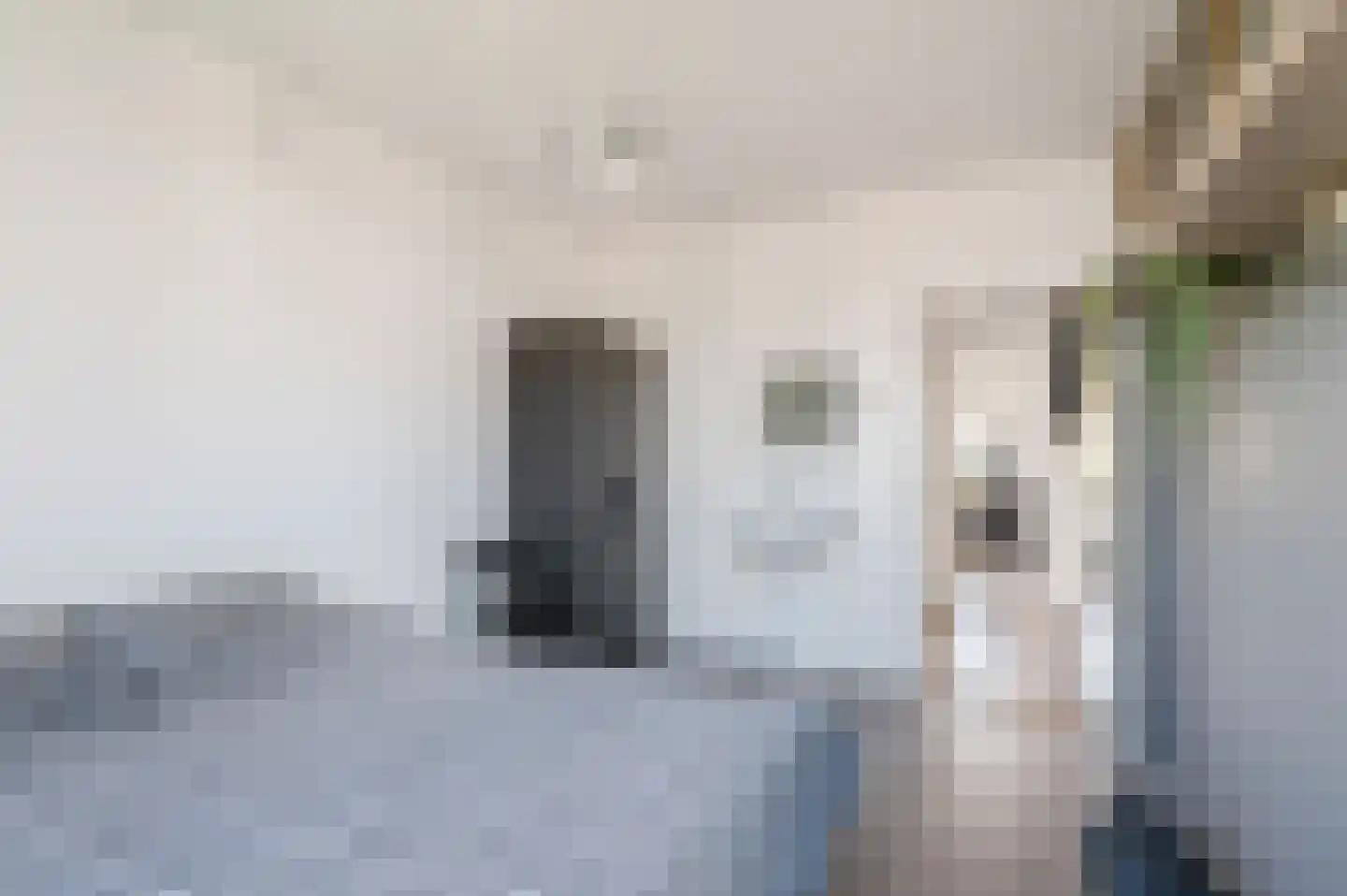 Adriaan van Ostadestraat 39 Groningen thumbnail 20