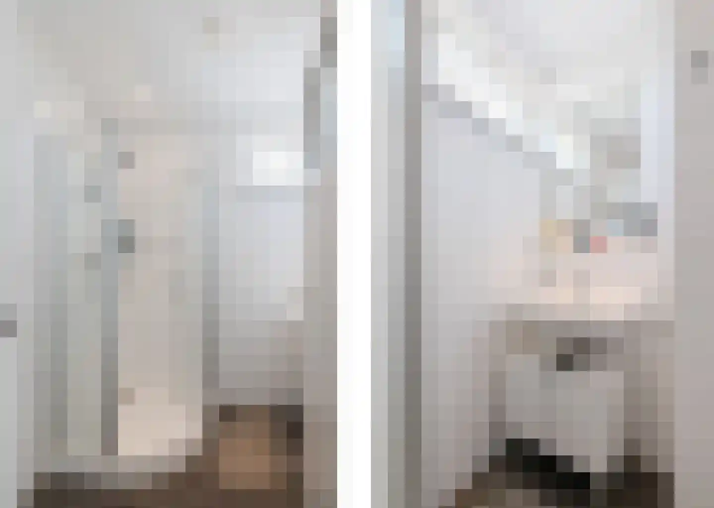 Adriaan van Ostadestraat 39 Groningen thumbnail 25
