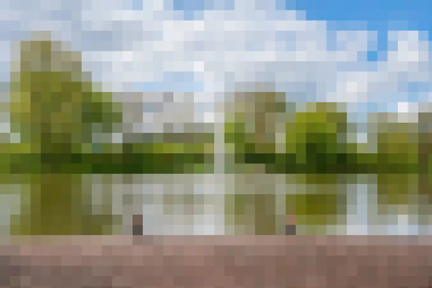 Adriaan van Ostadestraat 39 Groningen thumbnail 30