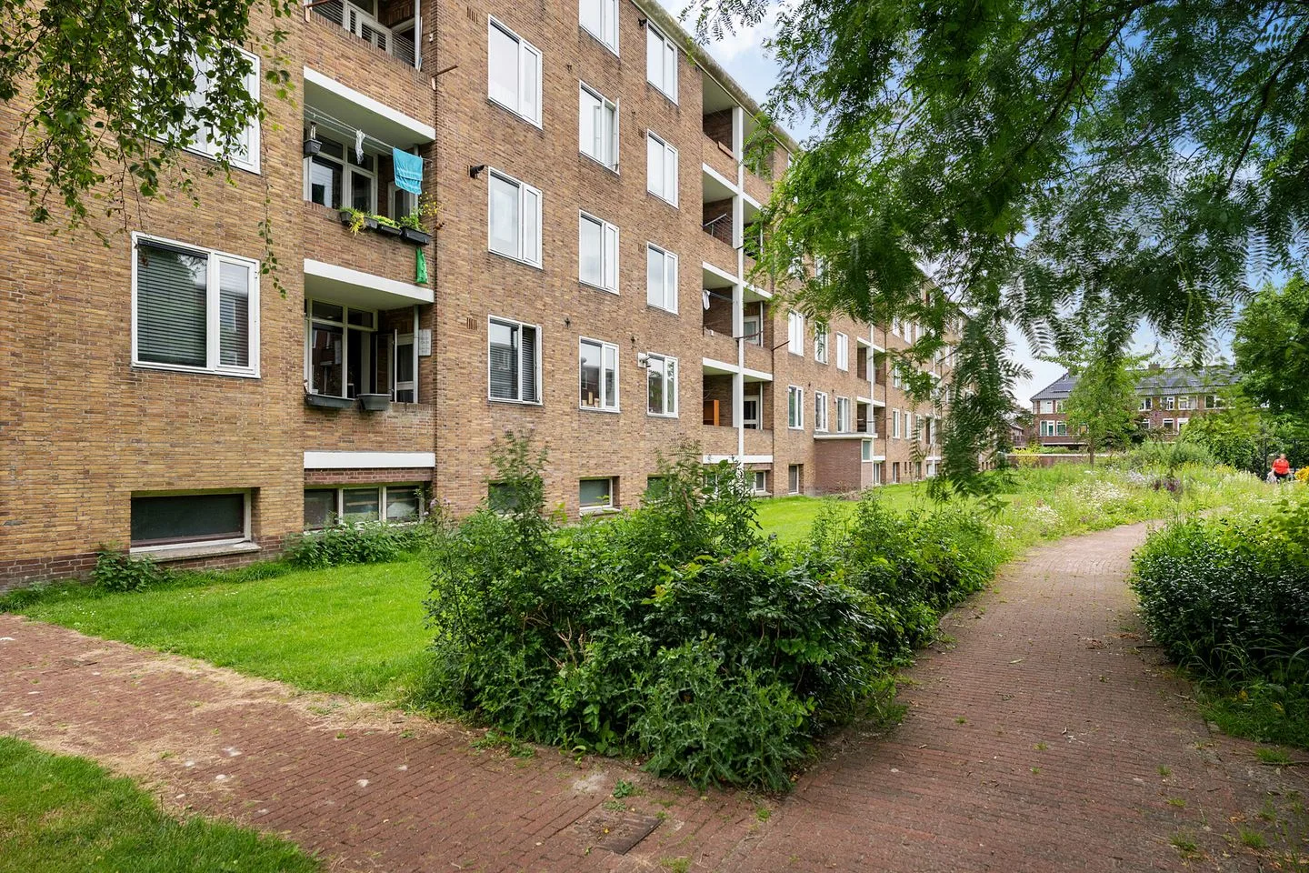 Adriaan van Ostadestraat 41 Groningen thumbnail 13