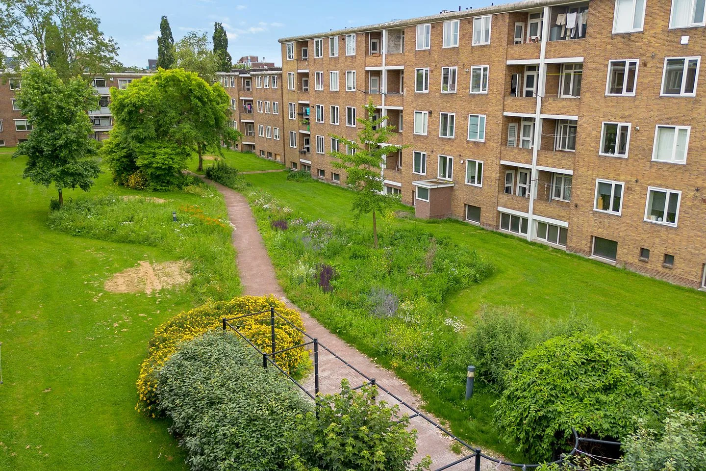Adriaan van Ostadestraat 41 Groningen thumbnail 43