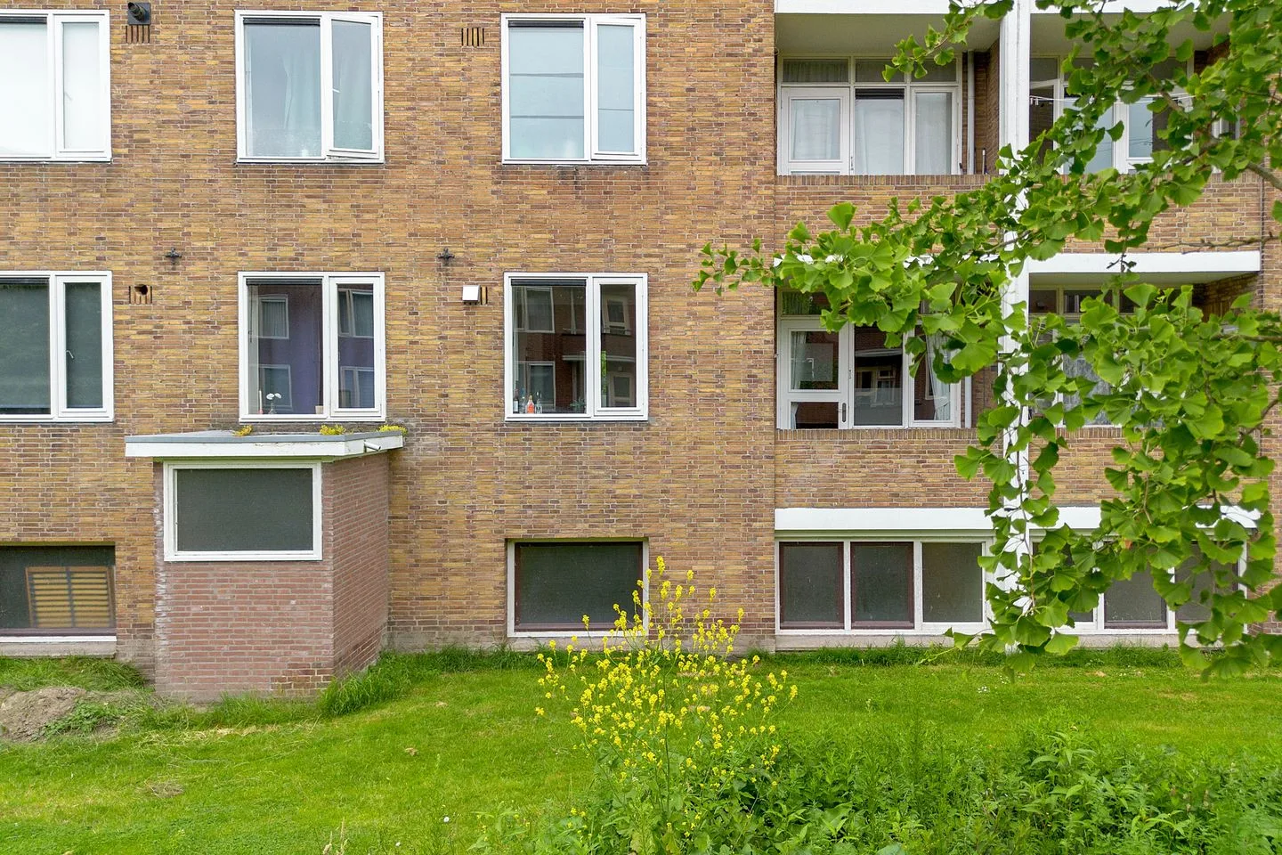 Adriaan van Ostadestraat 41 Groningen thumbnail 44