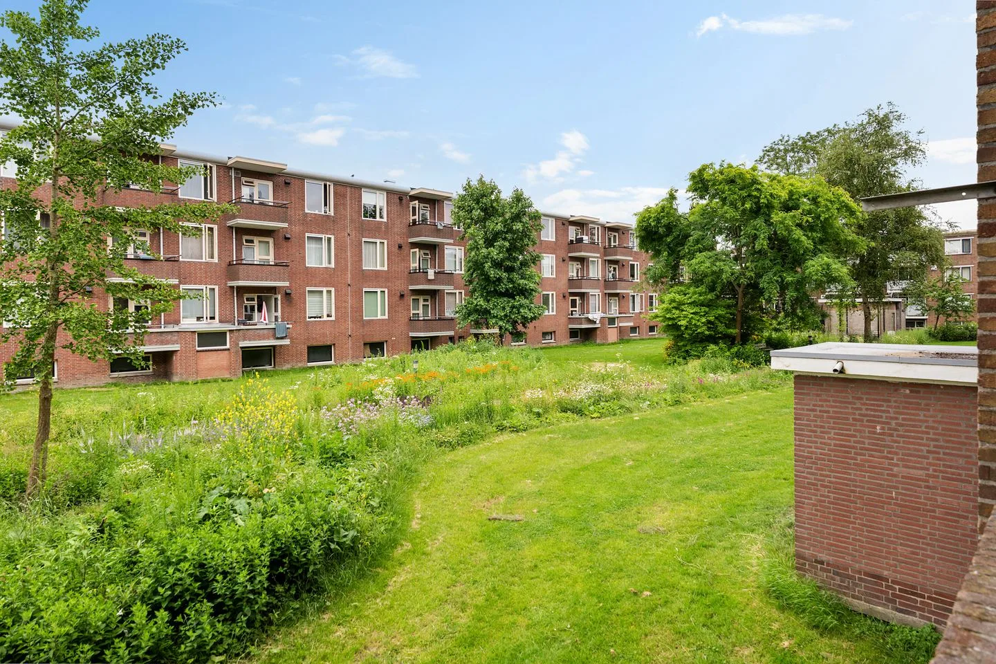 Adriaan van Ostadestraat 41 Groningen thumbnail 5