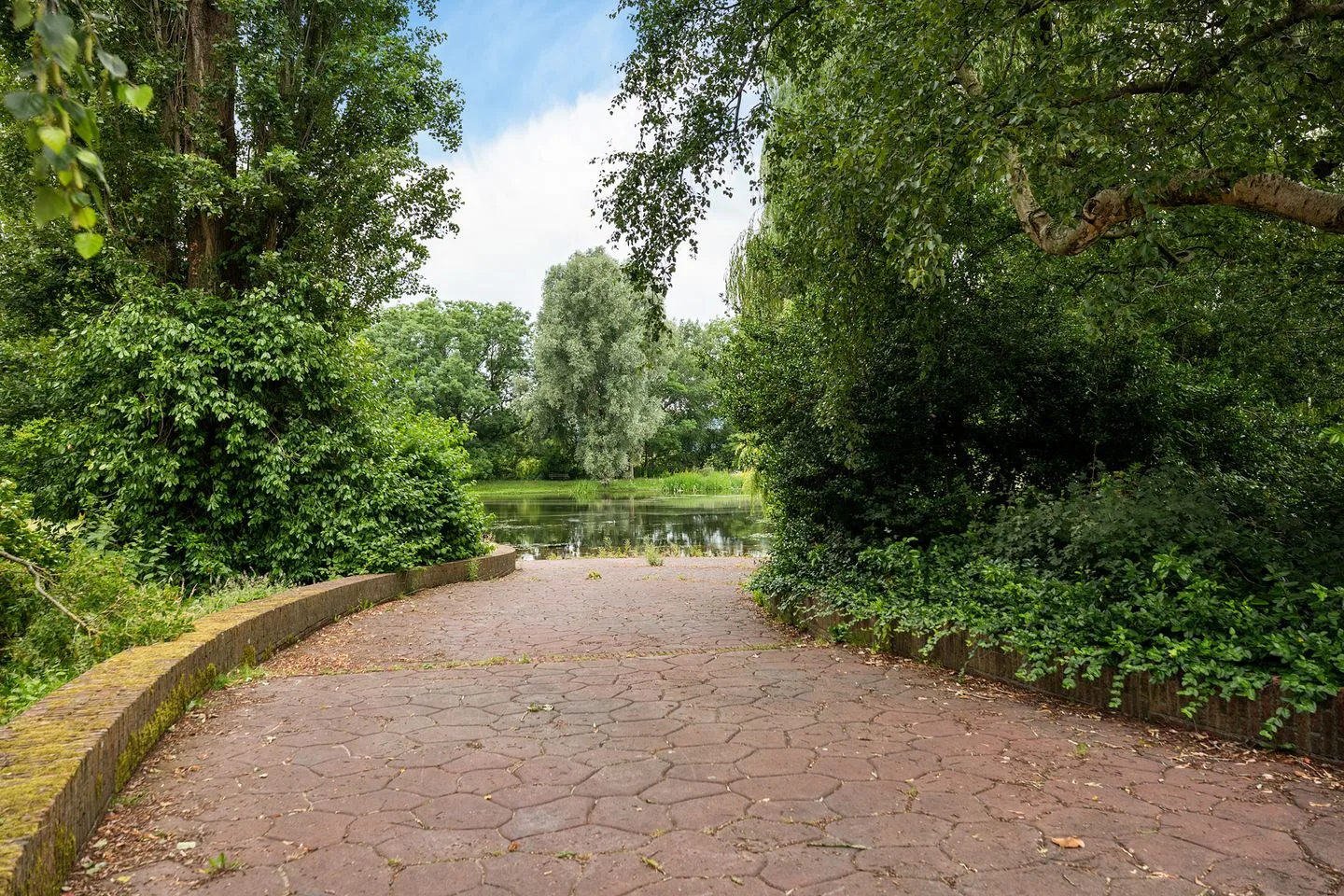 Adriaan van Ostadestraat 41 Groningen thumbnail 6