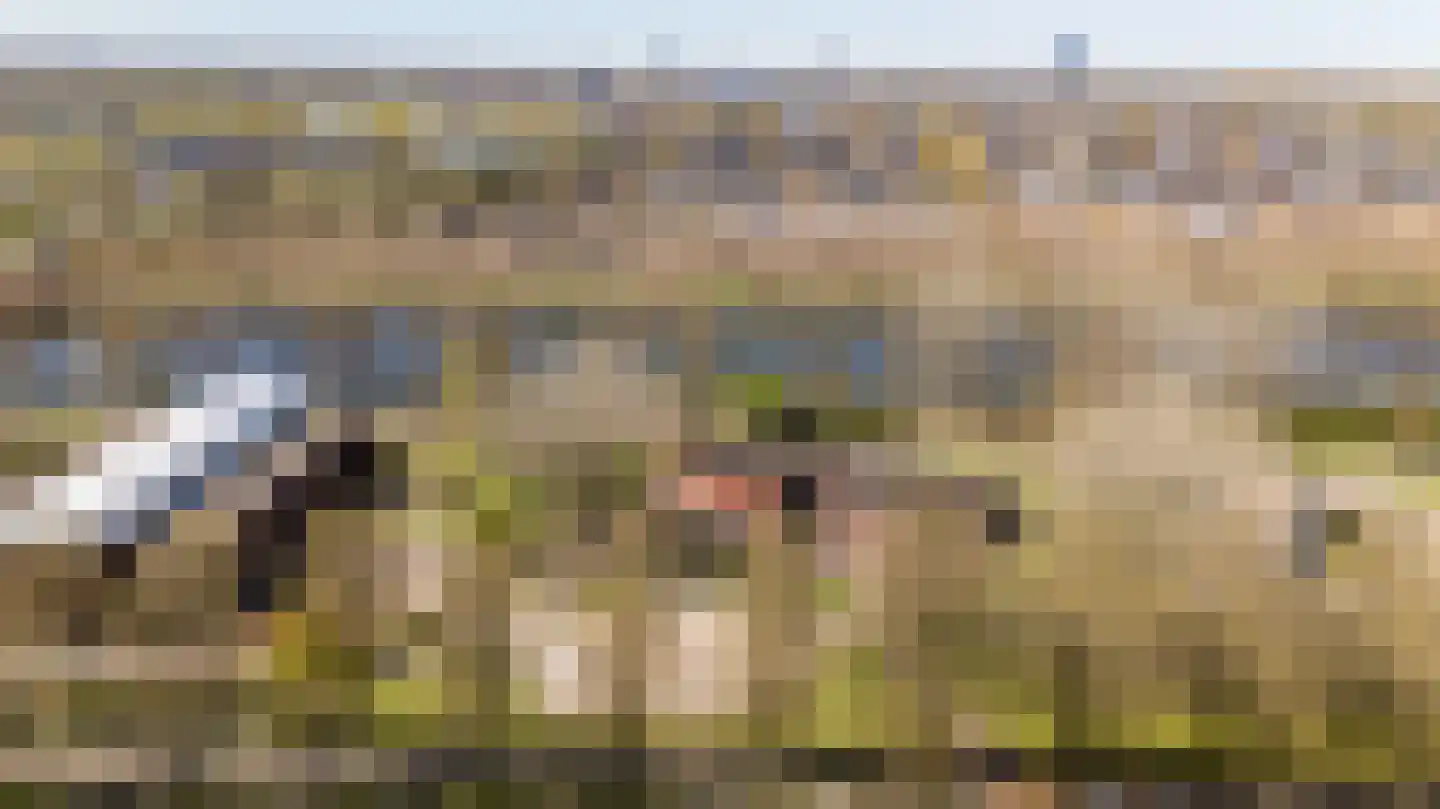 Adriaan van Ostadestraat 42 Almere thumbnail 36