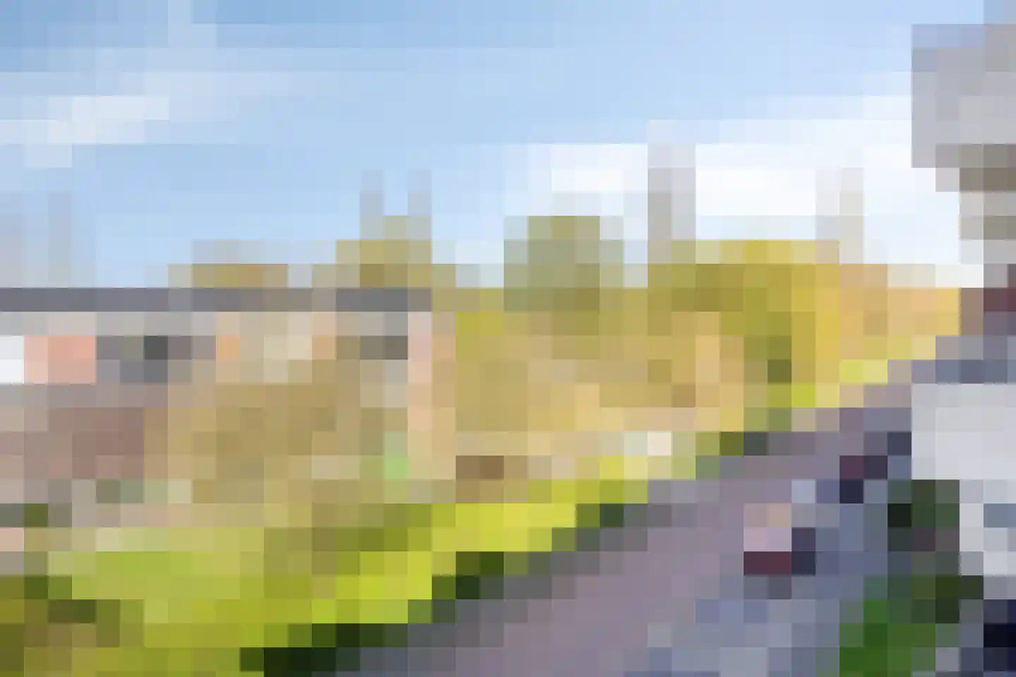 Adriaan van Ostadestraat 65 Groningen thumbnail 13