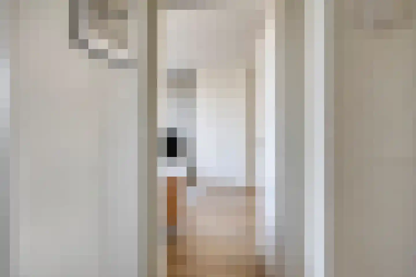 Adriaan van Ostadestraat 65 Groningen thumbnail 8