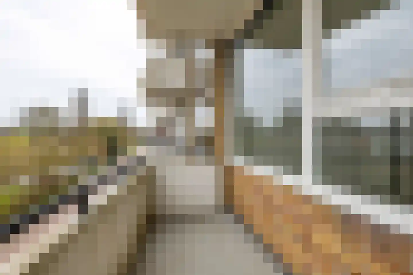 Adriaan van Ostadestraat 67 Groningen thumbnail 17