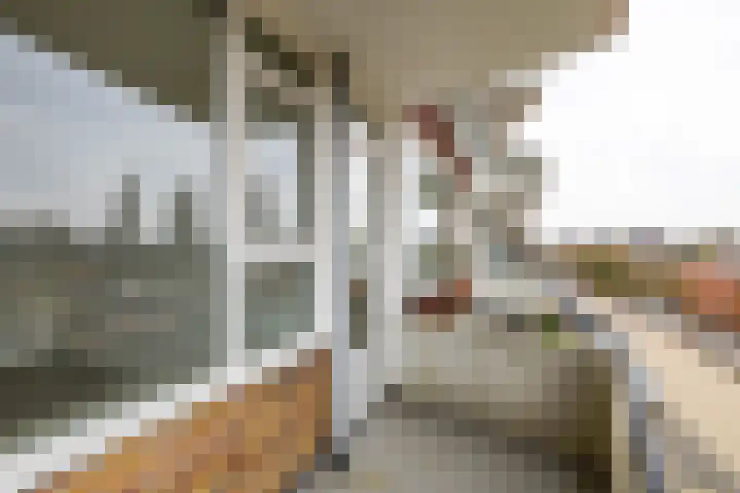 Adriaan van Ostadestraat 67 Groningen thumbnail 18
