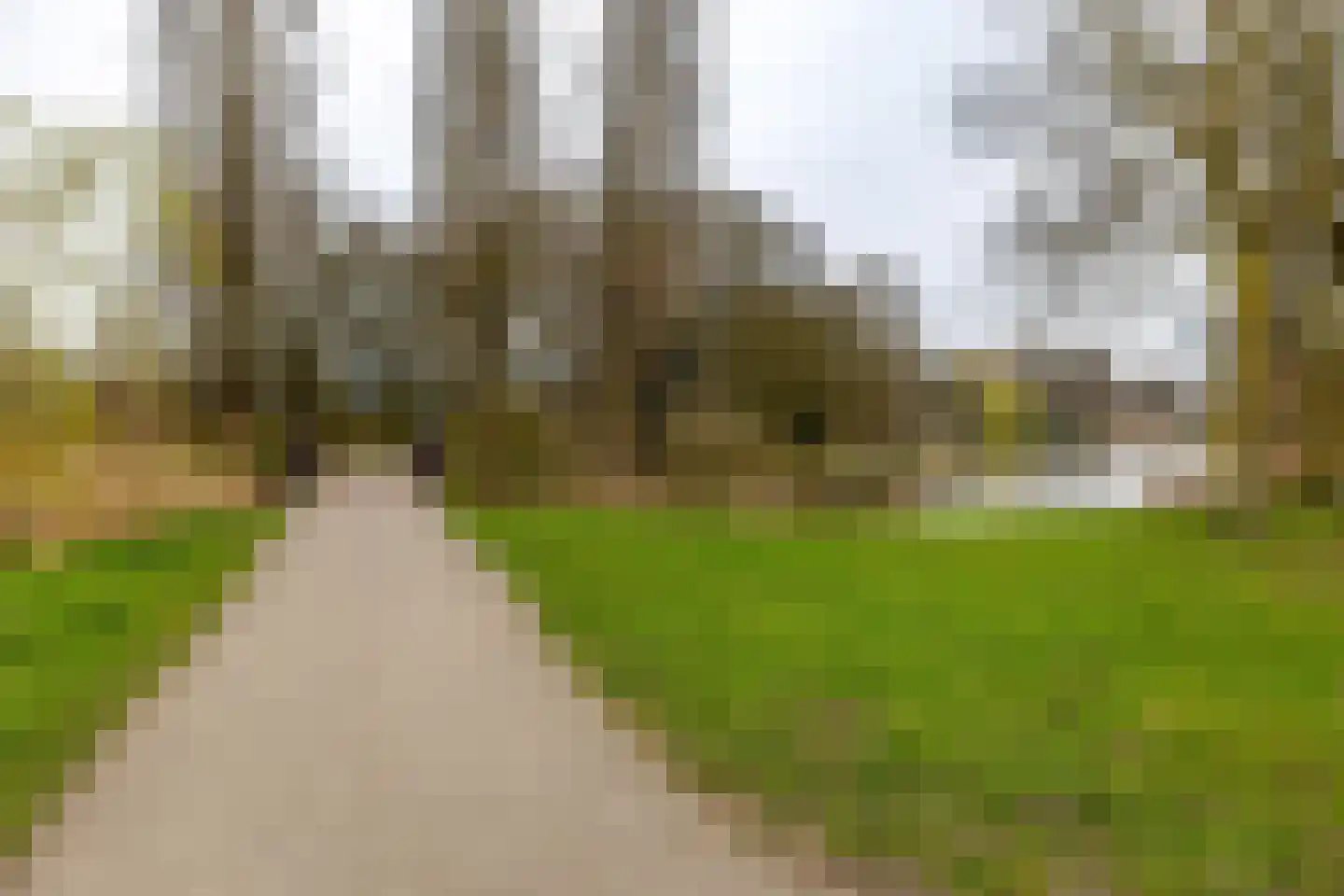 Adriaan van Ostadestraat 67 Groningen thumbnail 43