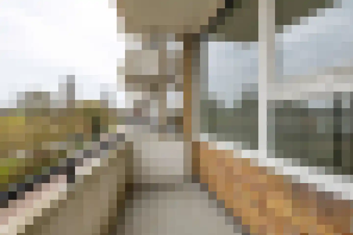 Adriaan van Ostadestraat 67 Groningen thumbnail 5