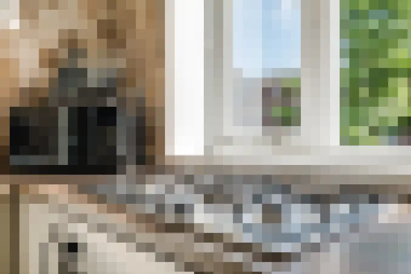 Adriaan van Ostadestraat 75 Groningen thumbnail 14