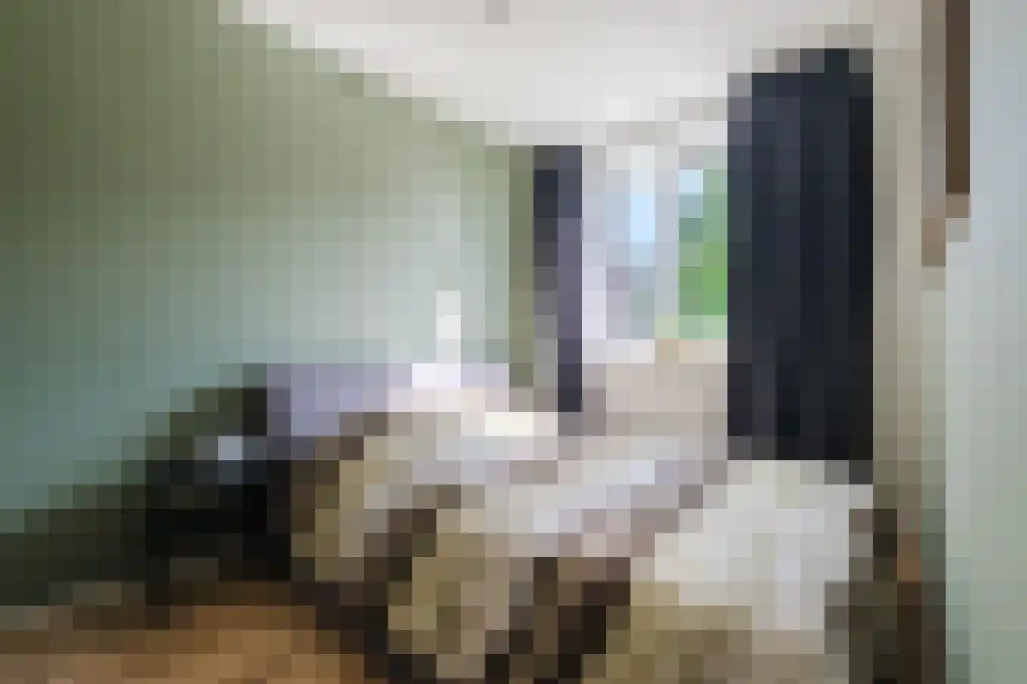 Adriaan van Ostadestraat 75 Groningen thumbnail 15