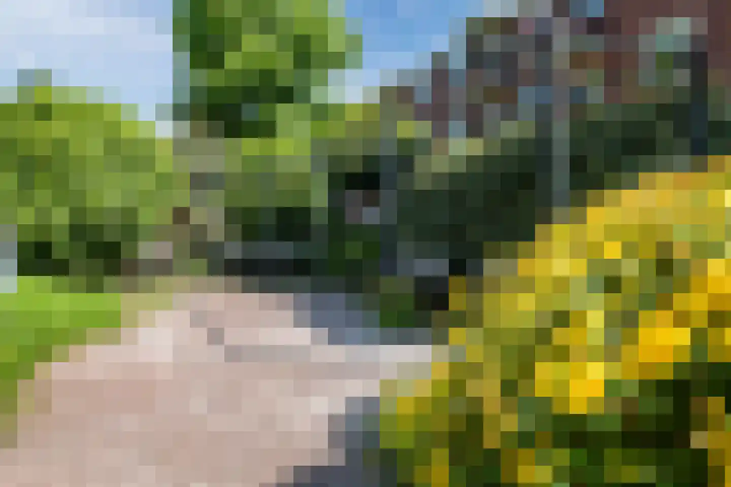 Adriaan van Ostadestraat 75 Groningen thumbnail 27
