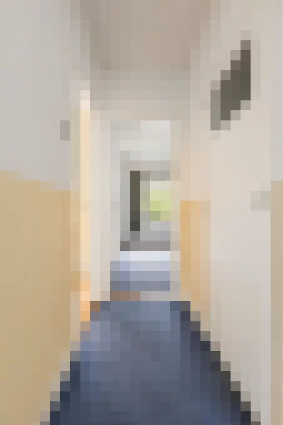 Adriaan van Ostadestraat 89 Groningen thumbnail 20