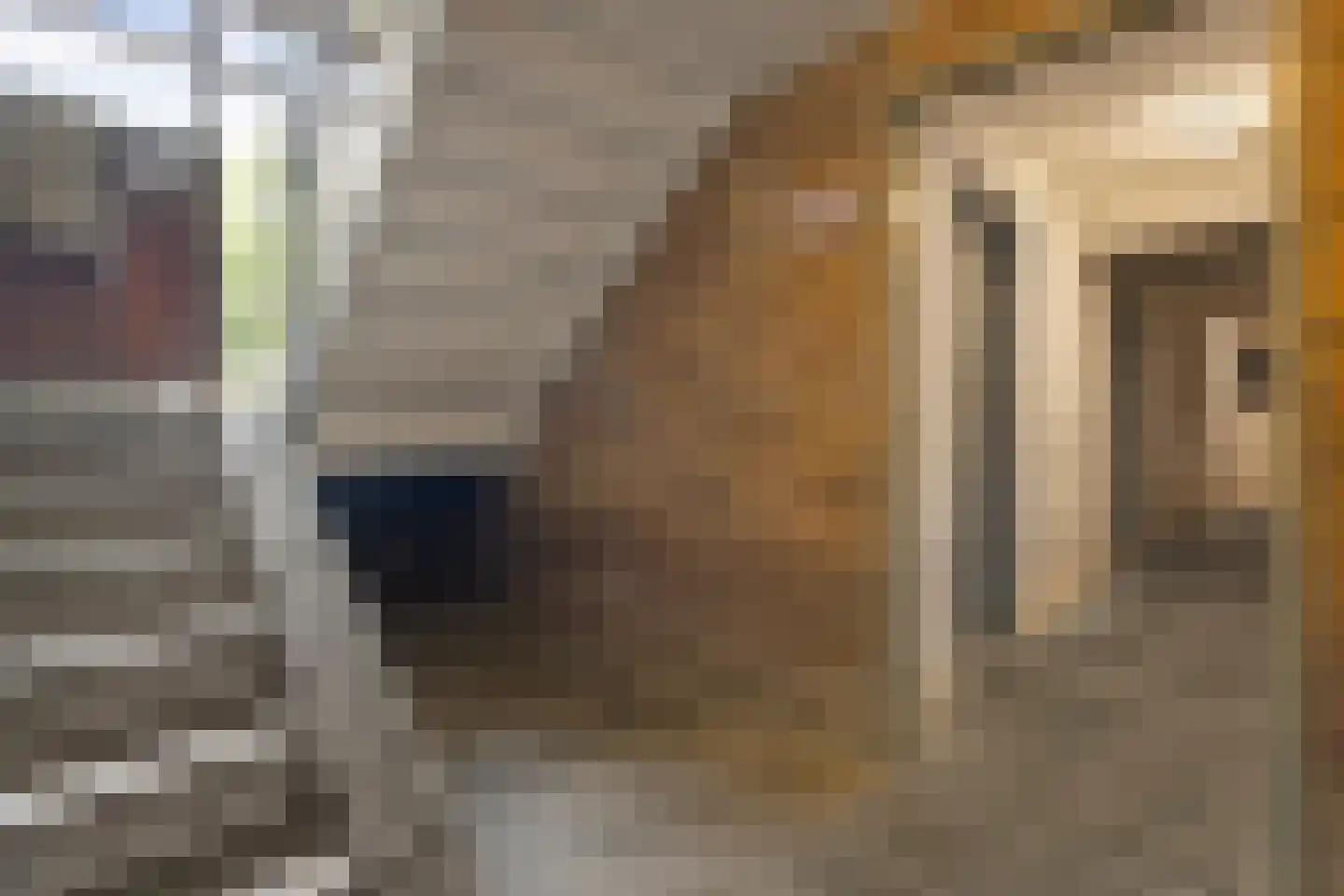 Adriaan van Ostadestraat 89 Groningen thumbnail 32