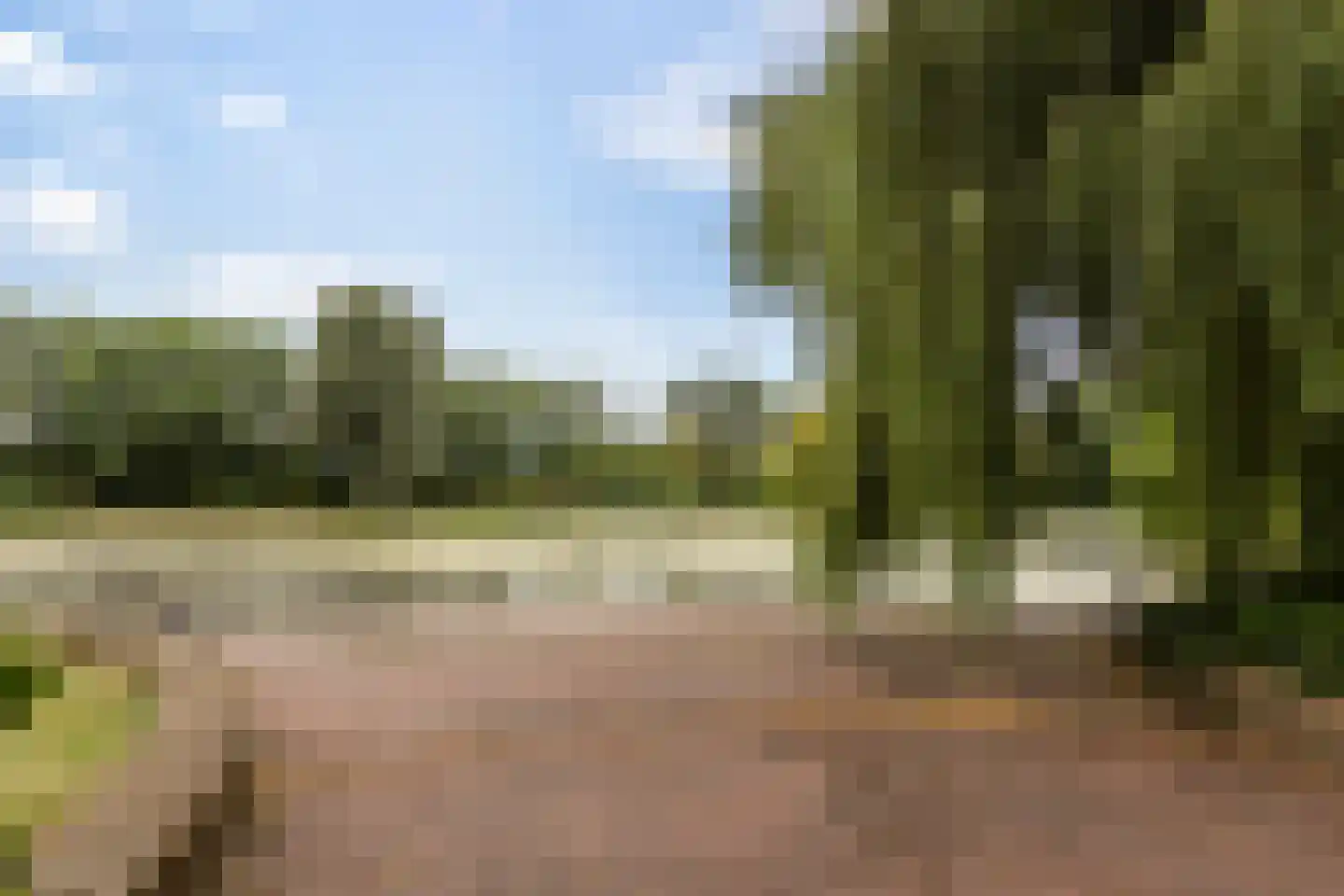 Adriaan van Ostadestraat 89 Groningen thumbnail 34