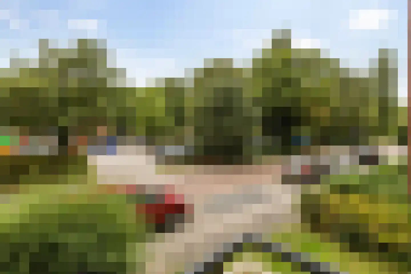 Adriaan van Ostadestraat 89 Groningen thumbnail 4