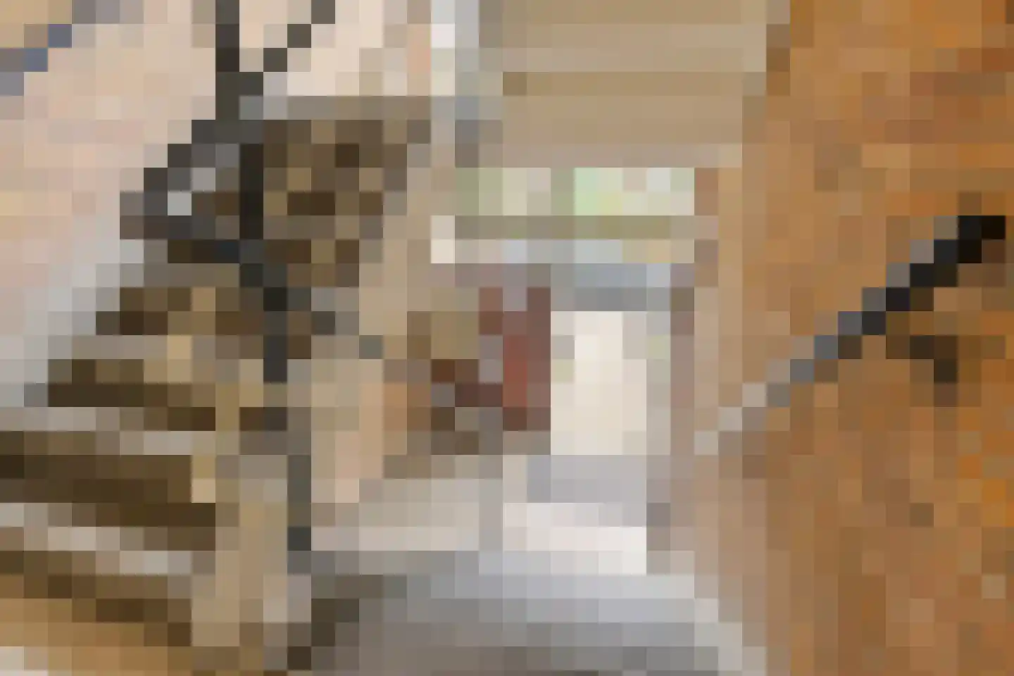 Adriaan van Ostadestraat 89 Groningen thumbnail 6