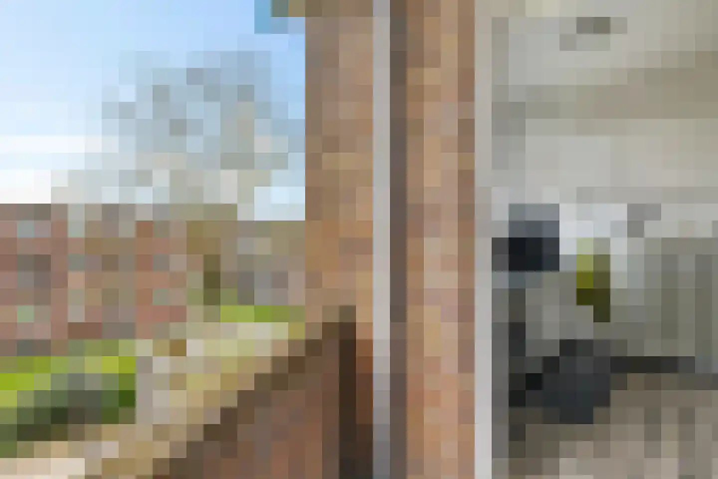 Adriaan van Ostadestraat 9 Groningen thumbnail 18