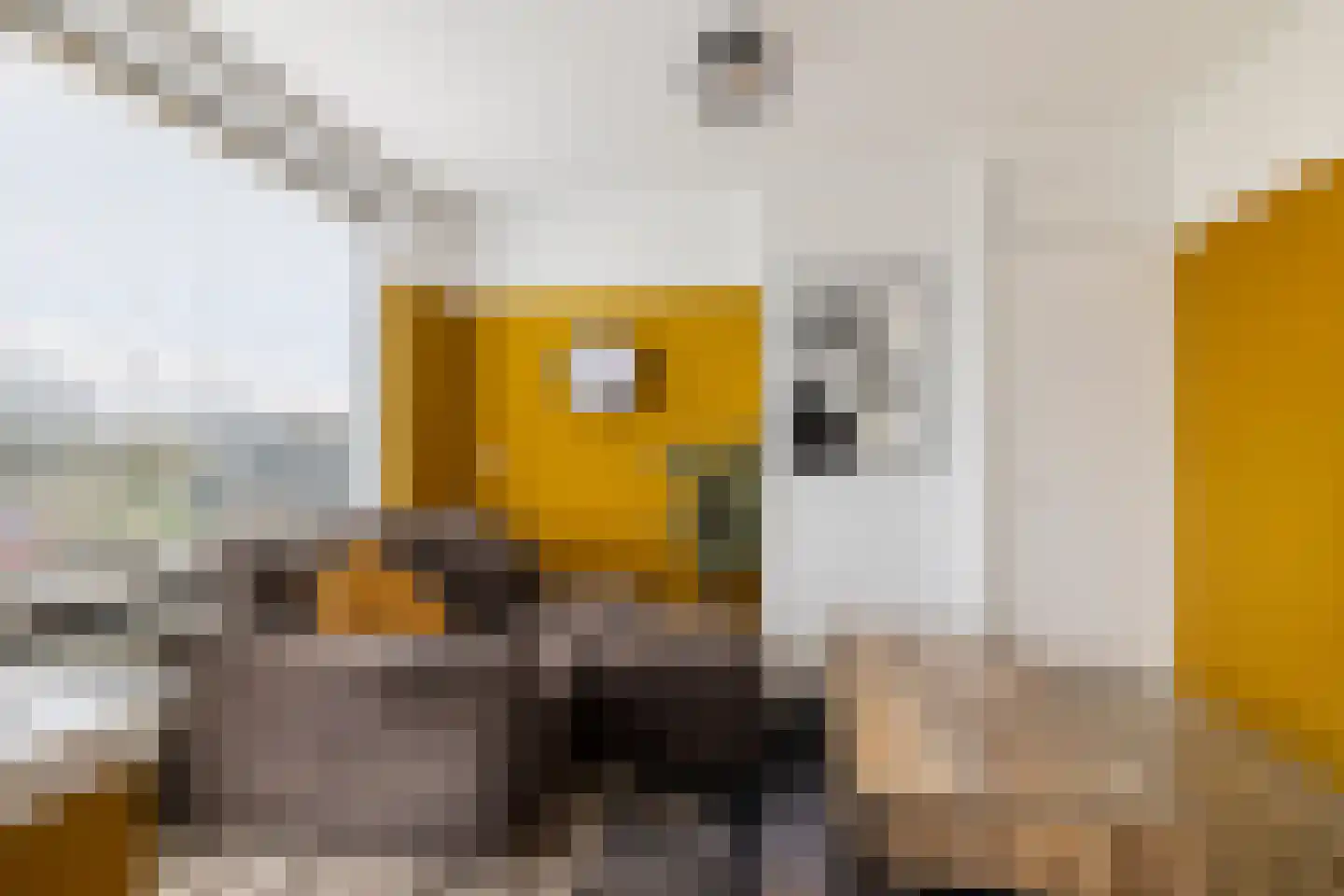 Adriaan van Ostadestraat 9 Groningen thumbnail 6