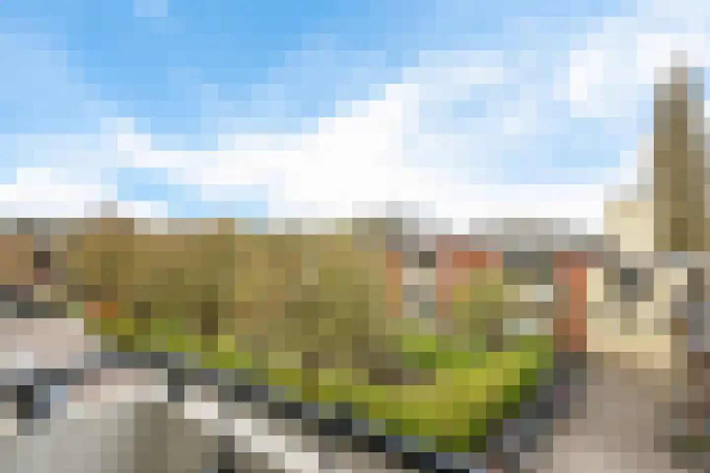 Adriaan van Ostadestraat 9 Groningen thumbnail 9