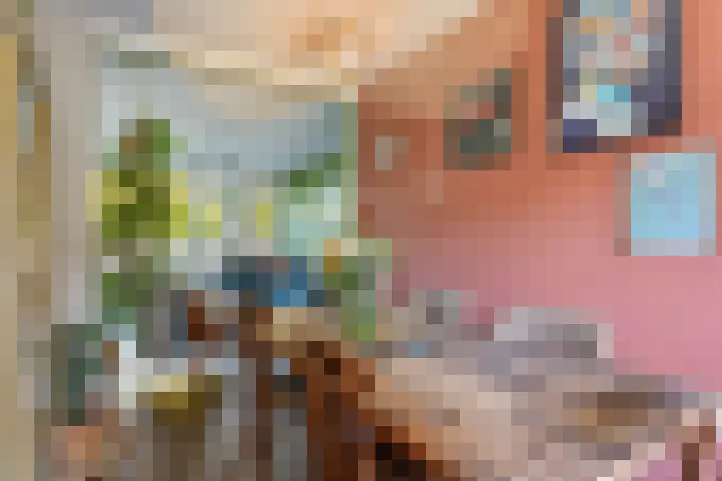 Adriaan van Ostadestraat 91 Groningen thumbnail 27
