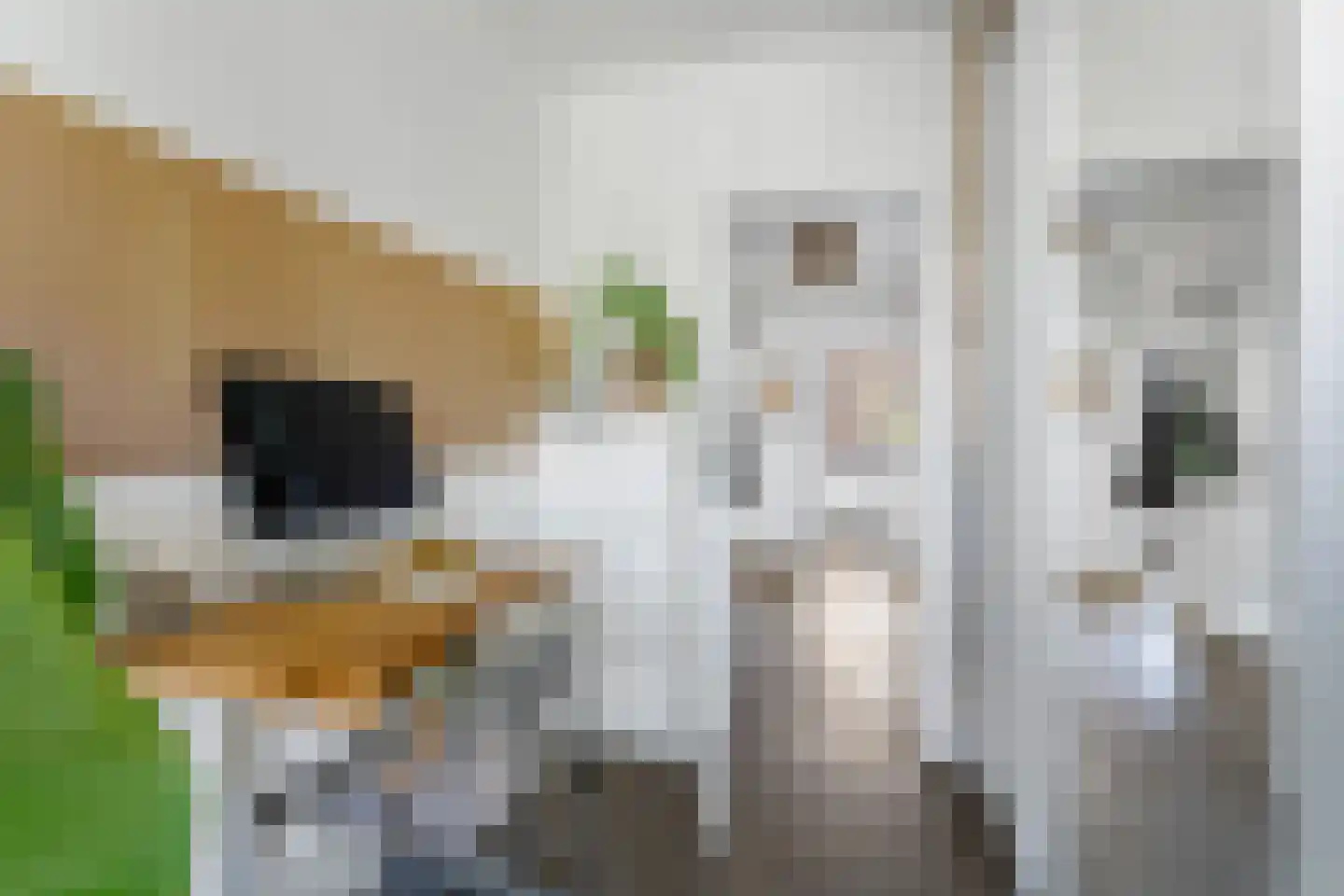 Adriaan van Ostadestraat 91 Groningen thumbnail 30