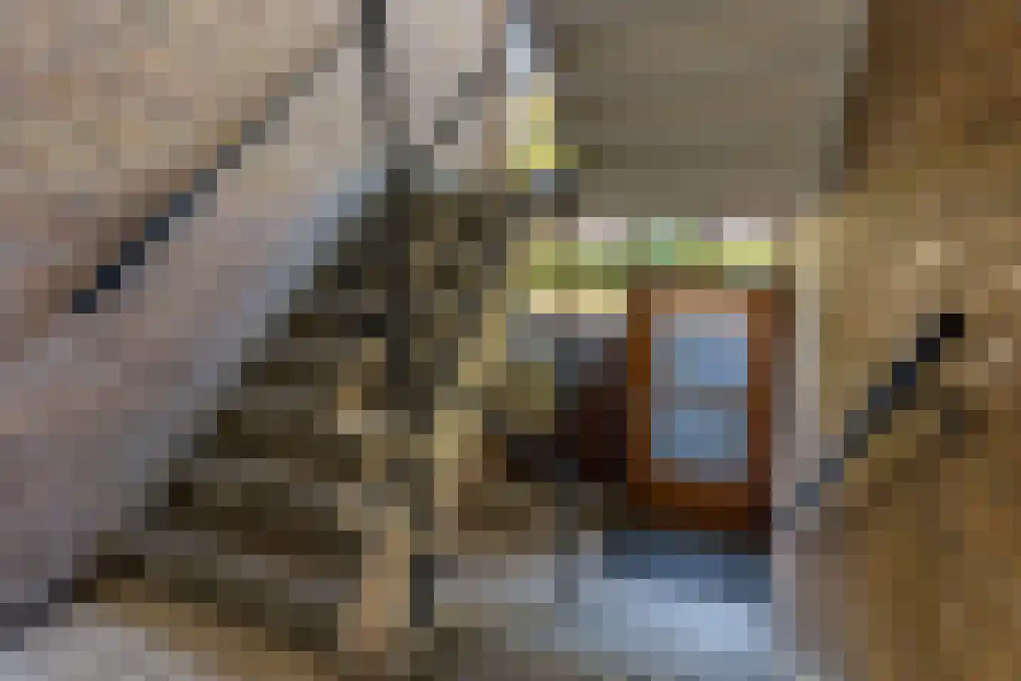 Adriaan van Ostadestraat 91 Groningen thumbnail 31
