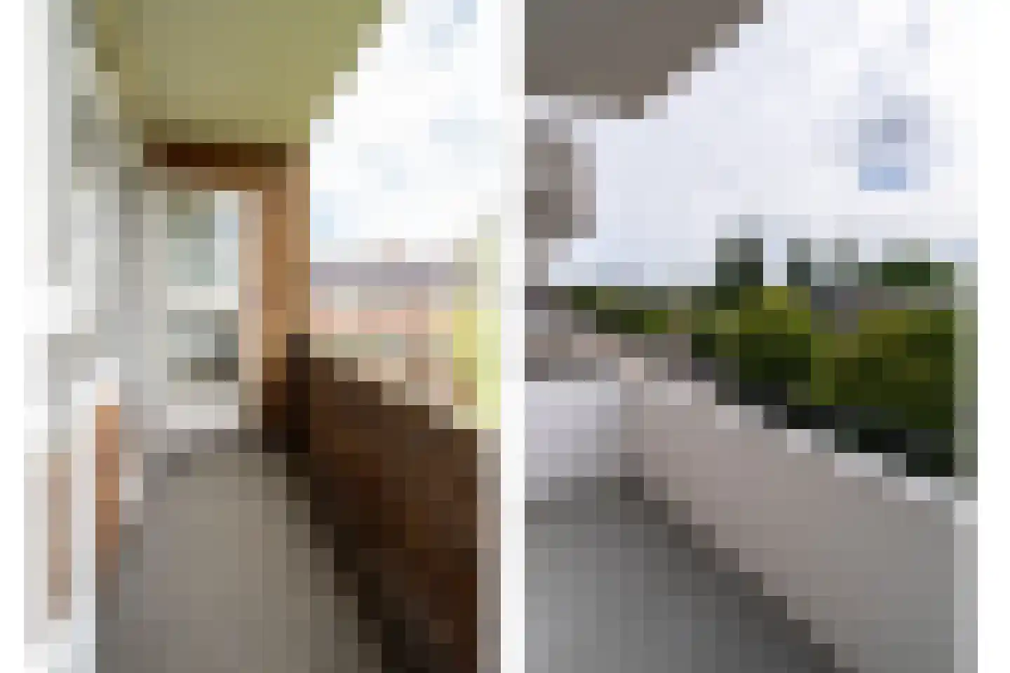 Adriaan van Ostadestraat 97 Groningen thumbnail 14