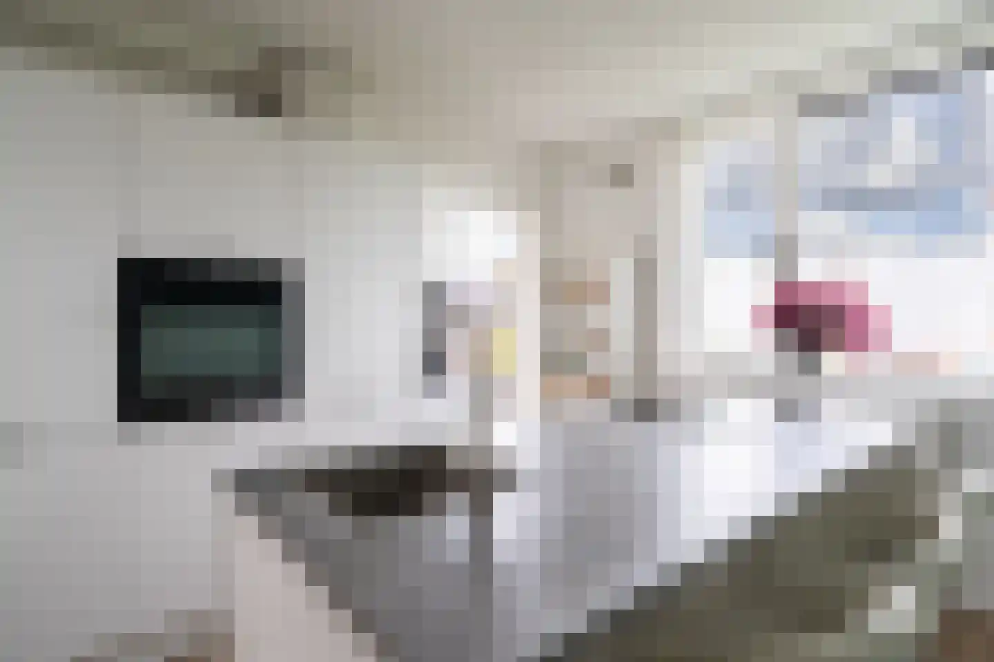 Adriaan van Ostadestraat 97 Groningen thumbnail 5