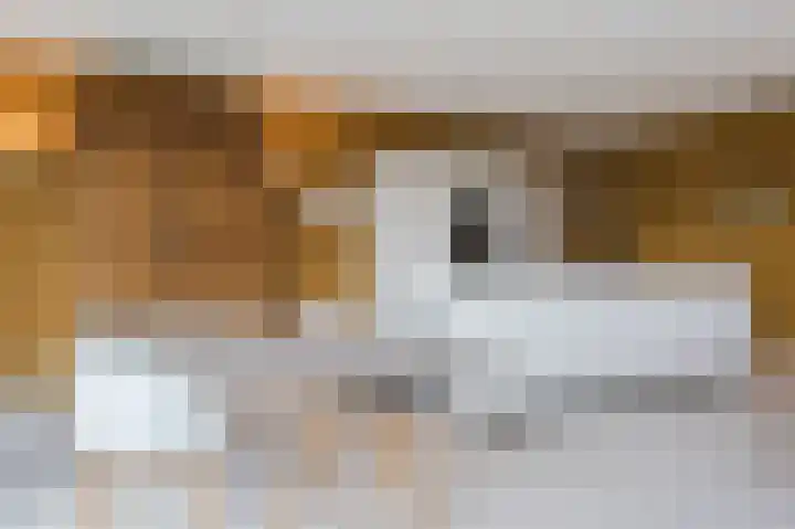 Adriaan van Royenlaan 116 Oegstgeest thumbnail 12