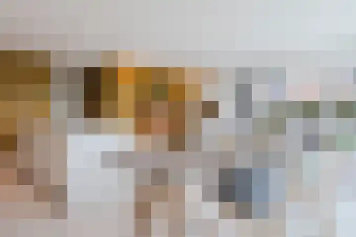 Adriaan van Royenlaan 116 Oegstgeest thumbnail 13
