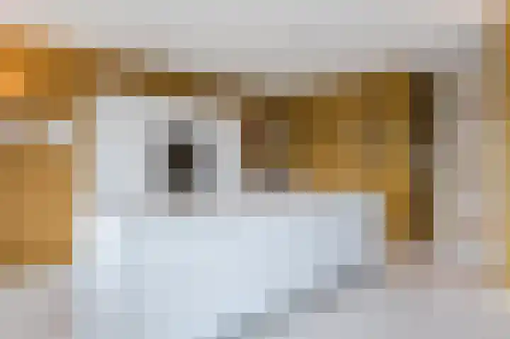 Adriaan van Royenlaan 116 Oegstgeest thumbnail 15