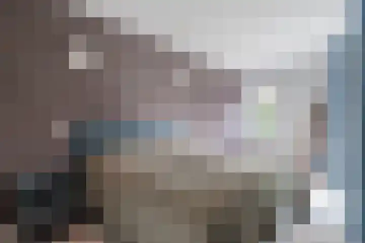 Adriaan van Royenlaan 116 Oegstgeest thumbnail 20