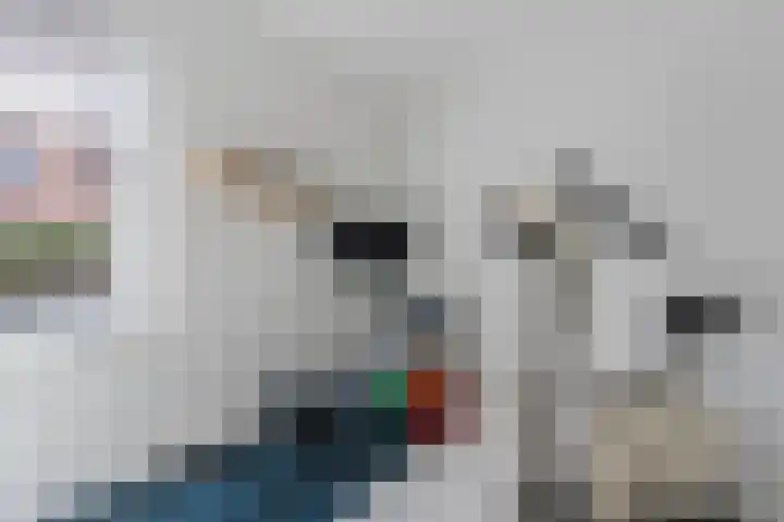 Adriaan van Royenlaan 116 Oegstgeest thumbnail 25