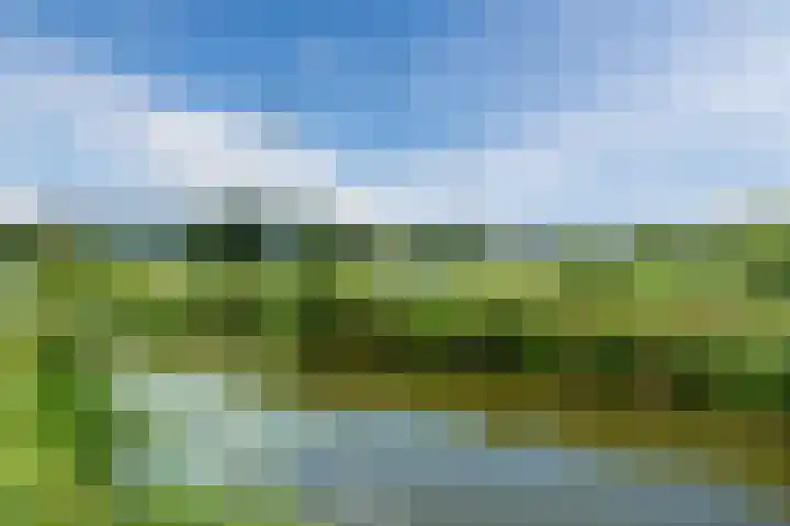 Adriaan van Royenlaan 116 Oegstgeest thumbnail 42