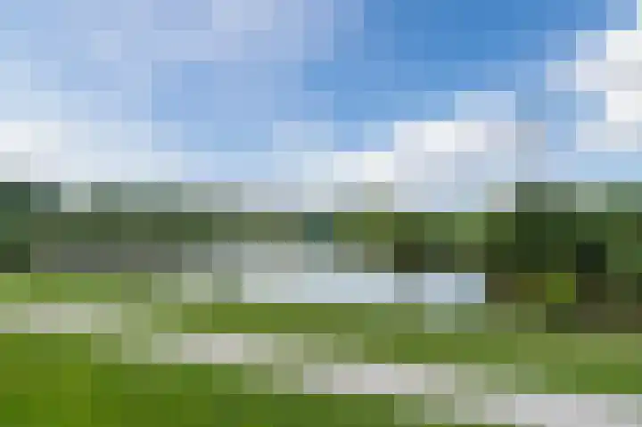 Adriaan van Royenlaan 116 Oegstgeest thumbnail 43